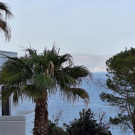 Delfini Apartments Kissamos Bagian luar foto