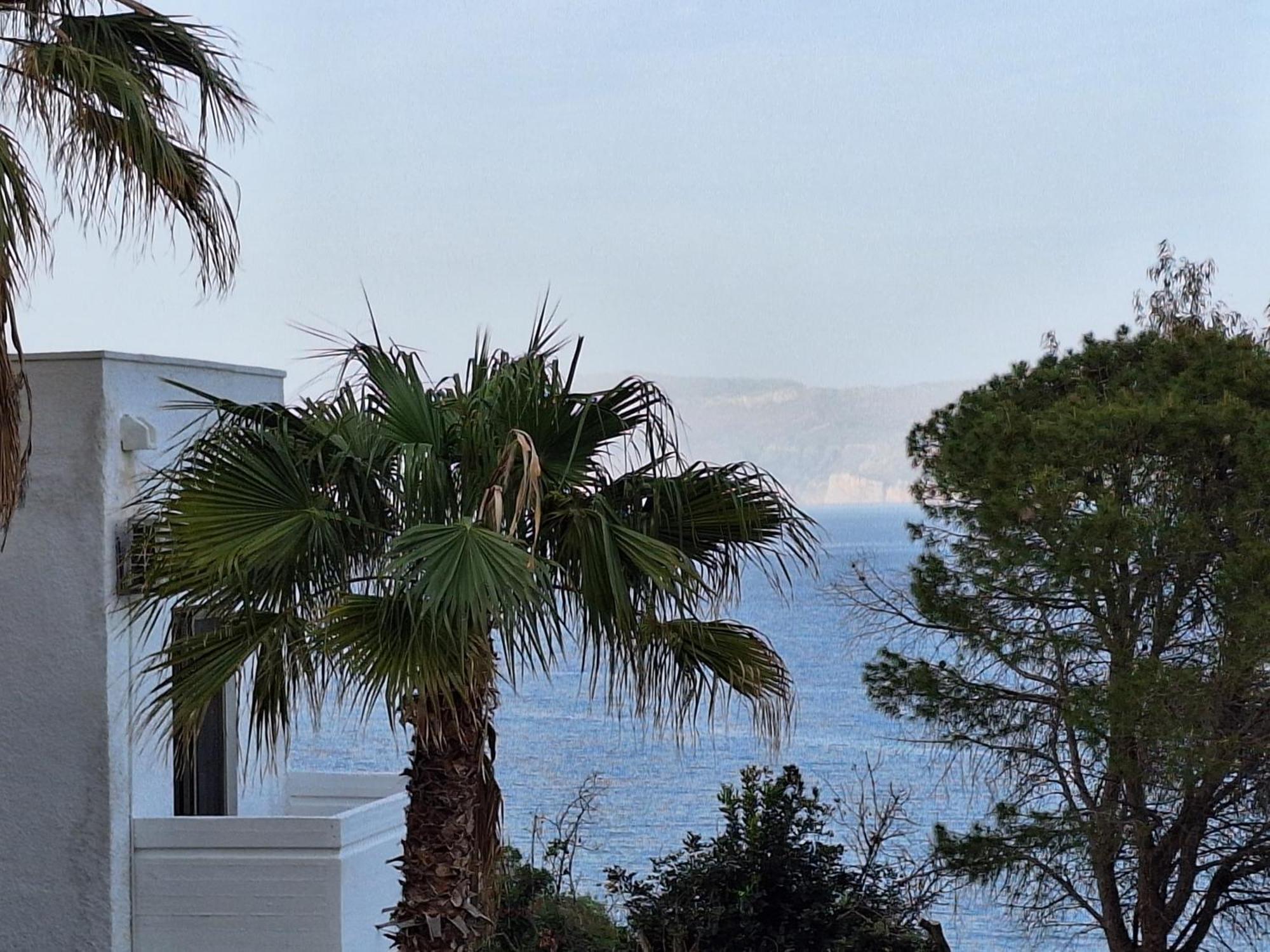 Delfini Apartments Kissamos Bagian luar foto